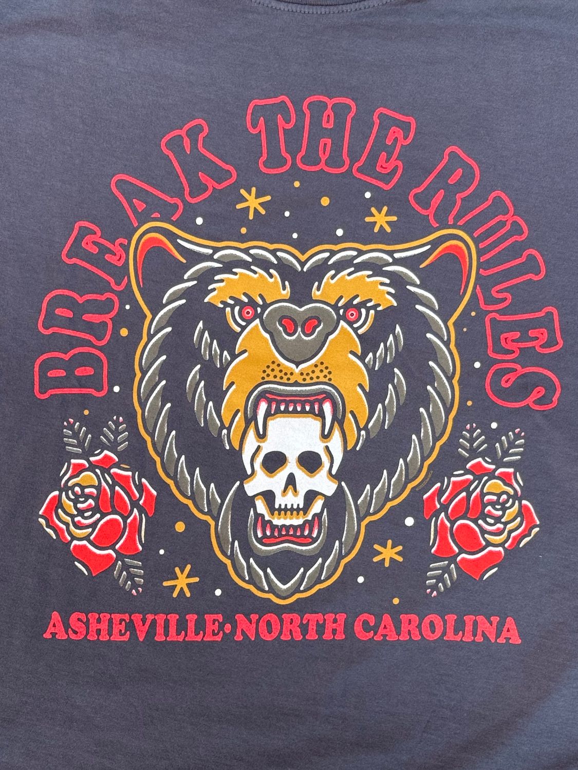 Break The Rules Asheville North Carolina Crop Top Shirt