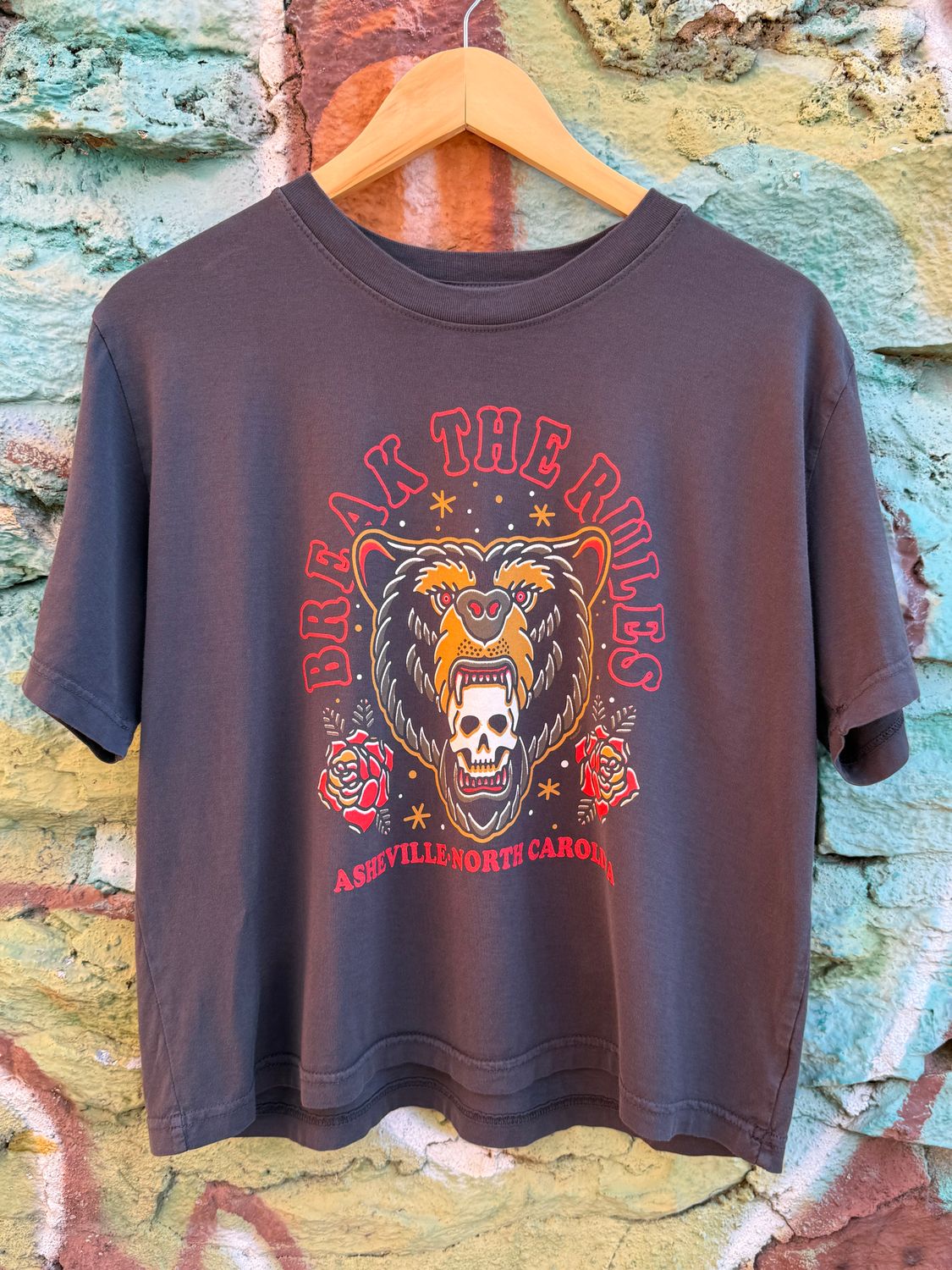 Break The Rules Asheville North Carolina Crop Top Shirt, Size: Small