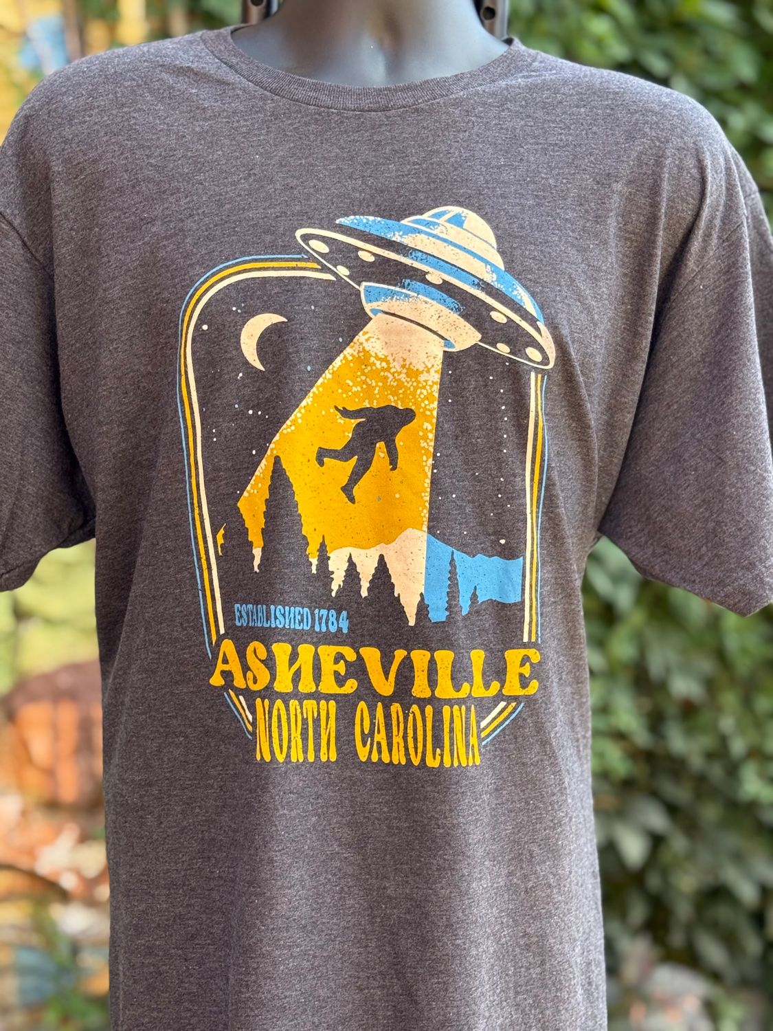 Beam Me Up Asheville North Carolina Grey Big Foot UFO T-Shirt, Size: Small