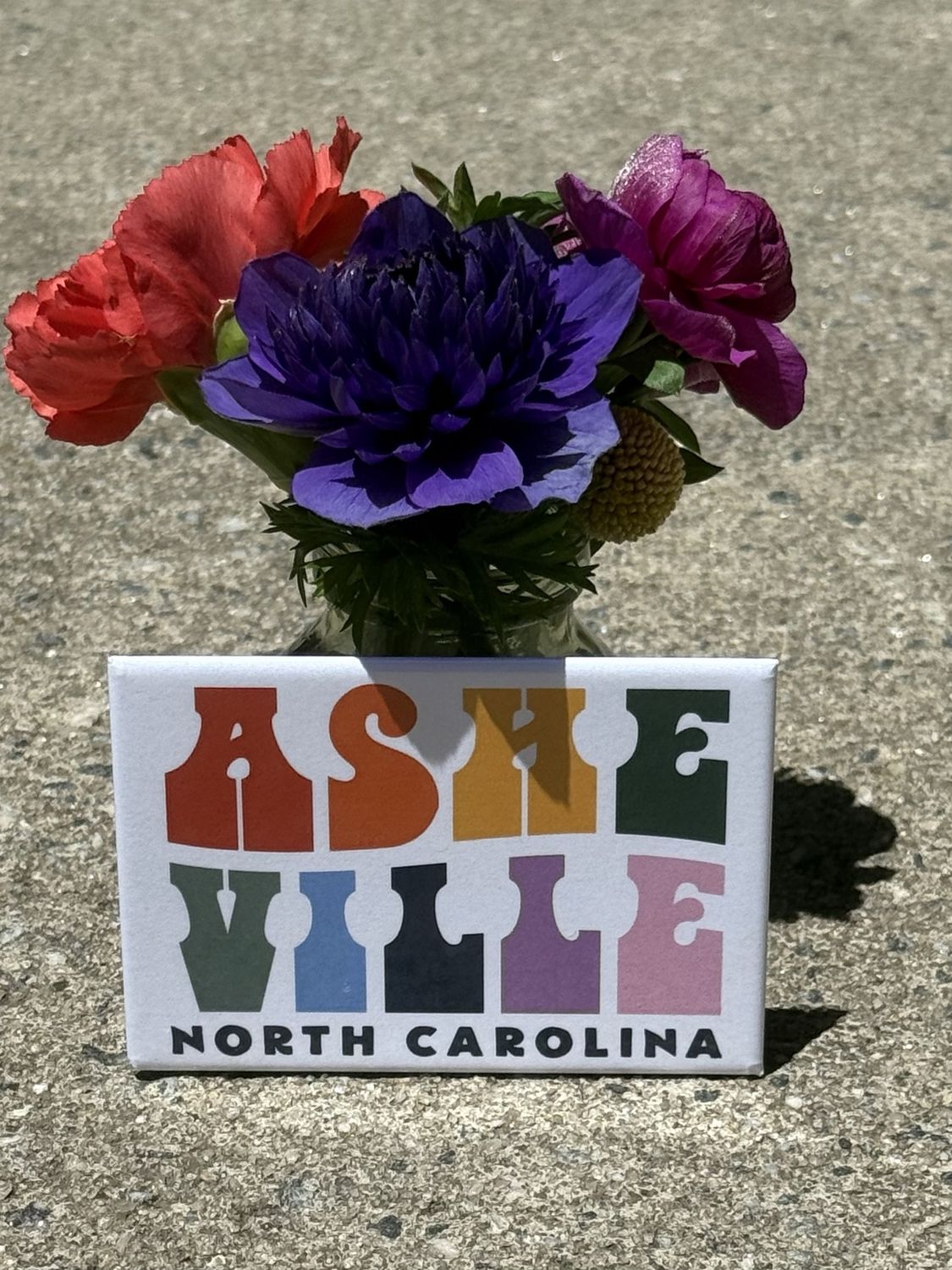 Asheville Groovy Type Magnet