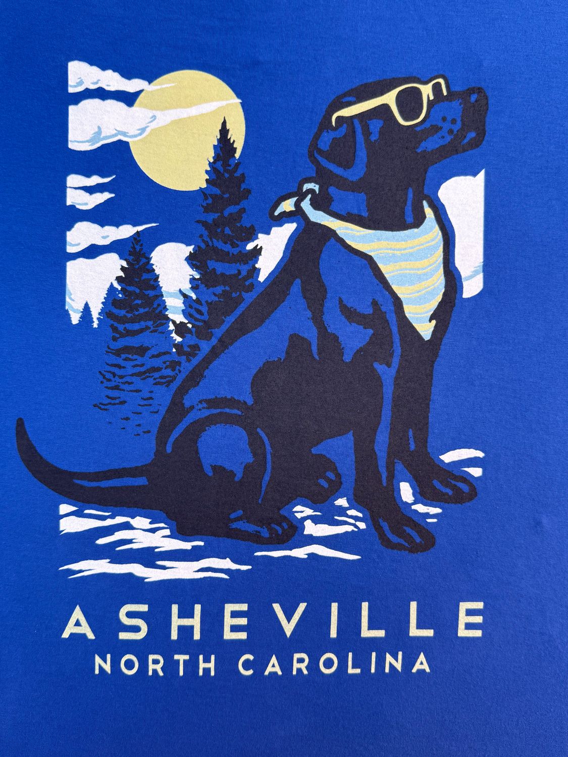 Trail Hound Dog Asheville North Carolina Blue T-Shirt