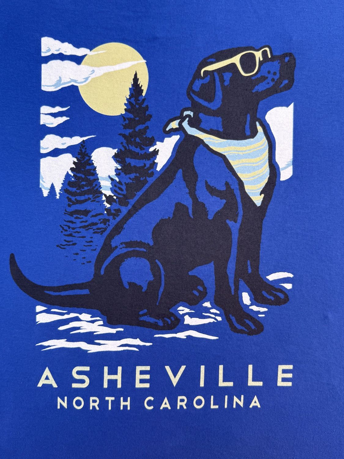 Trail Hound Dog Asheville North Carolina Blue T-Shirt