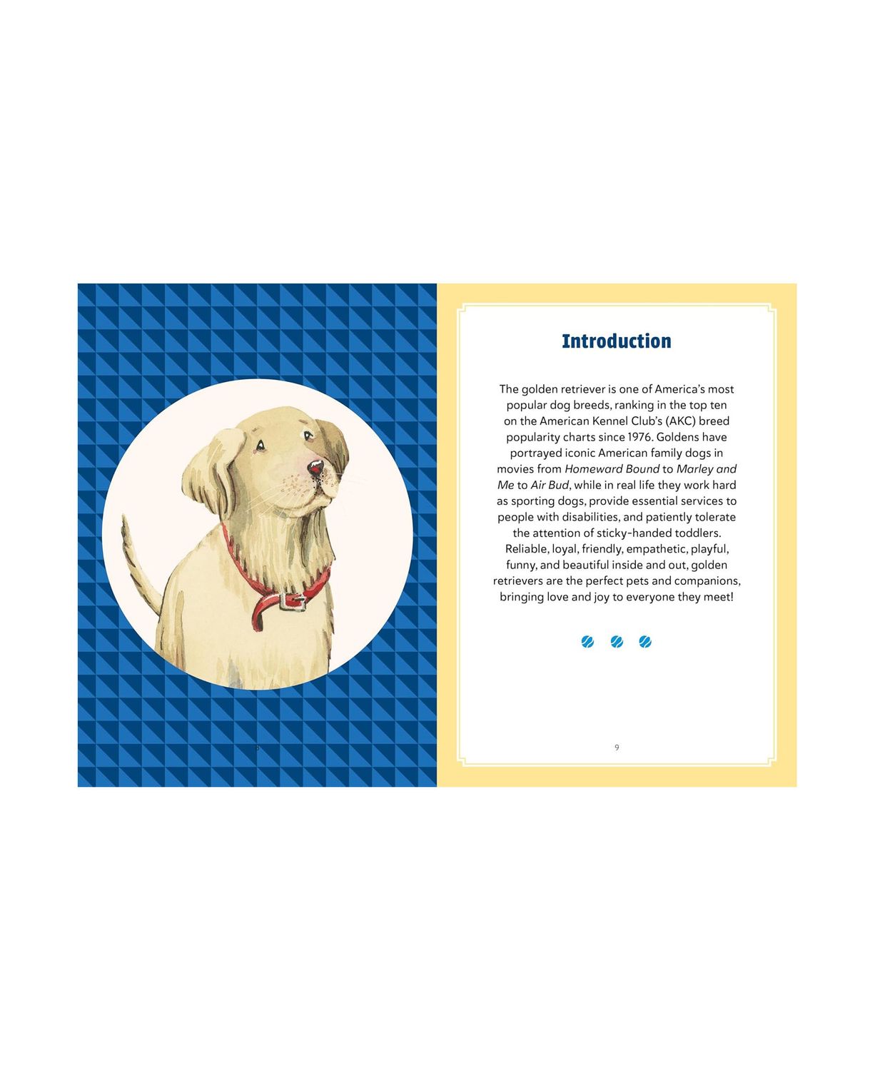 A Golden Life Hardcover Book