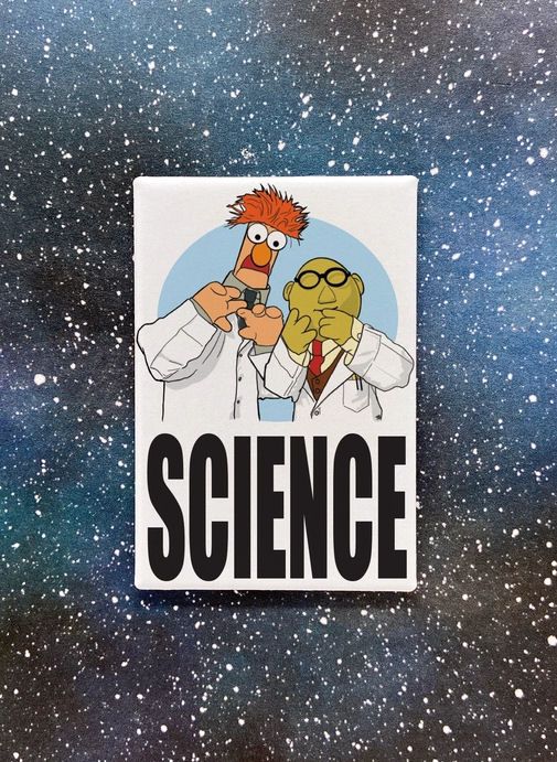 Science Beaker And Bunsen Muppets Magnet