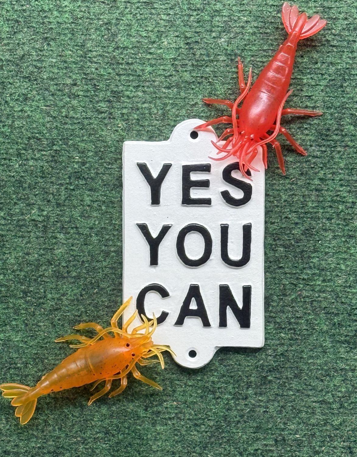 Yes You Can Cast Iron Sign