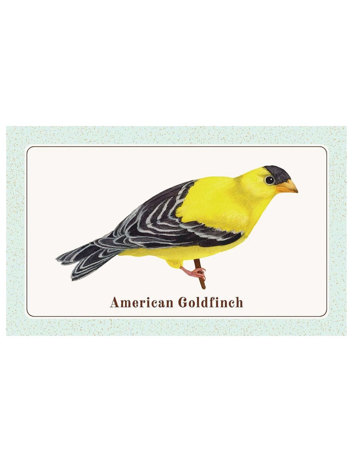 The Beginner Birder's Card Deck
