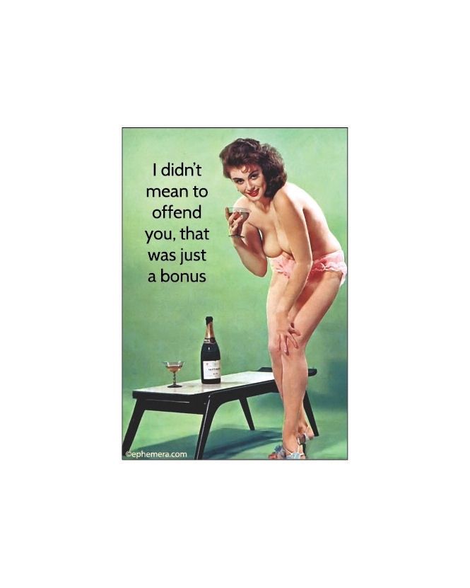I Didn't Mean To Offend You, That Was Just A Bonus Magnet