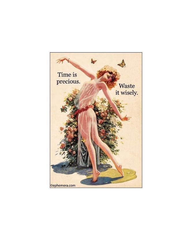 Time Is Precious. Waste It Wisely Magnet