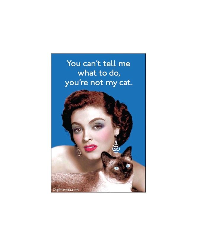 You Can’t Tell Me What To Do, You’re Not My Cat Magnet