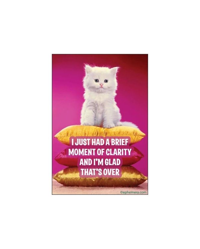 I Just Had A Brief Moment Of Clarity And I'm Glad That's Over Magnet