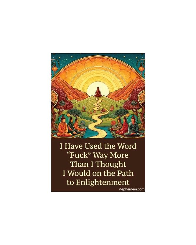 I Have Used The Word "Fuck" Way More Than I Thought I Would Magnet