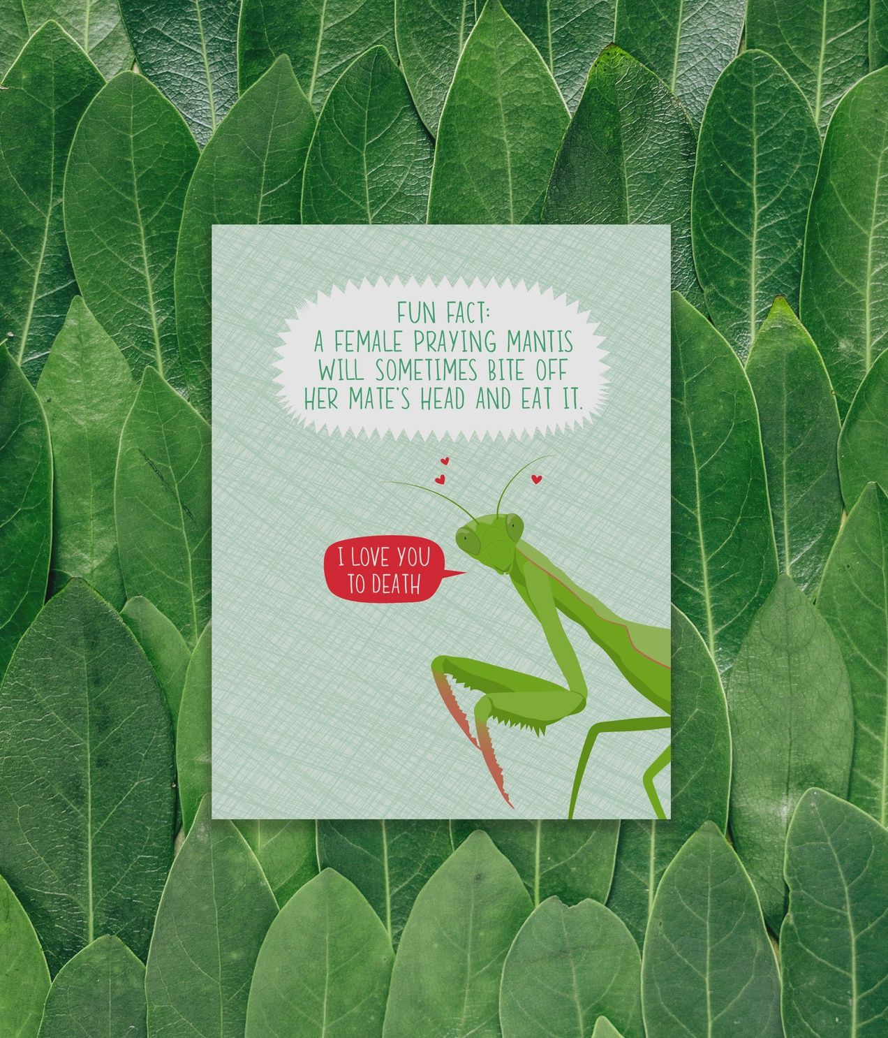 Praying Mantis Fact Love Card