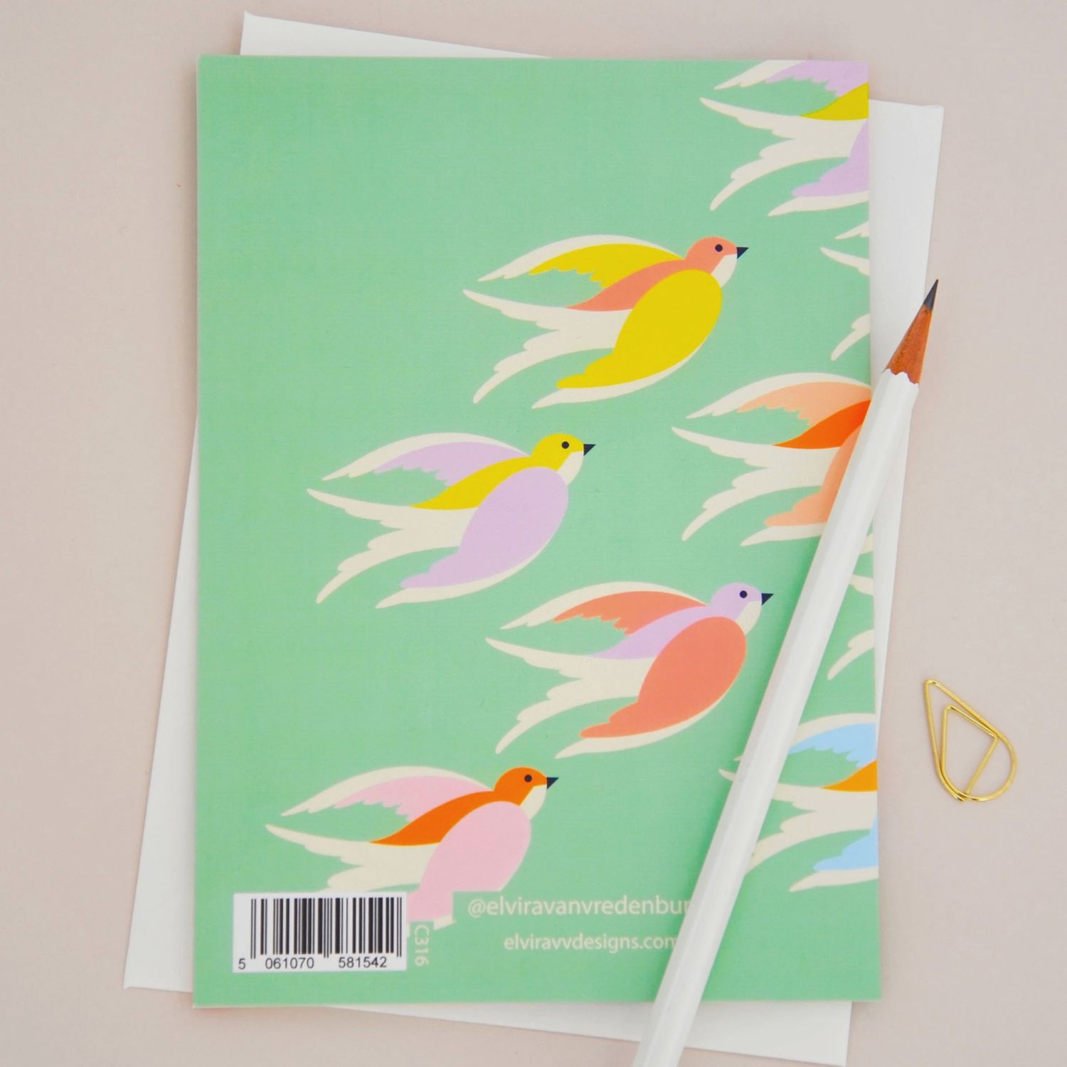 Illustrated Birds in Flight Card