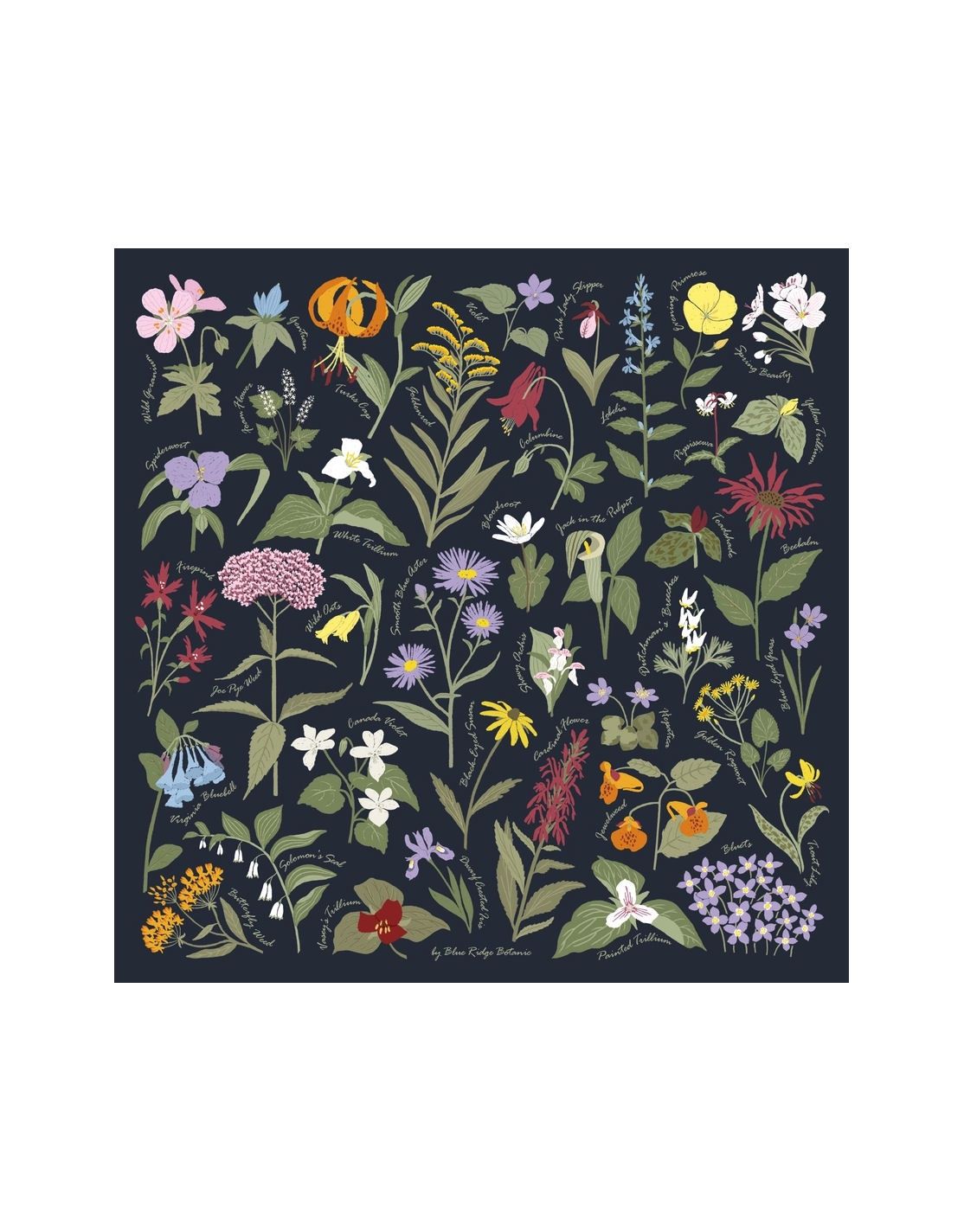 Blue Ridge Botanic Navy Bandana