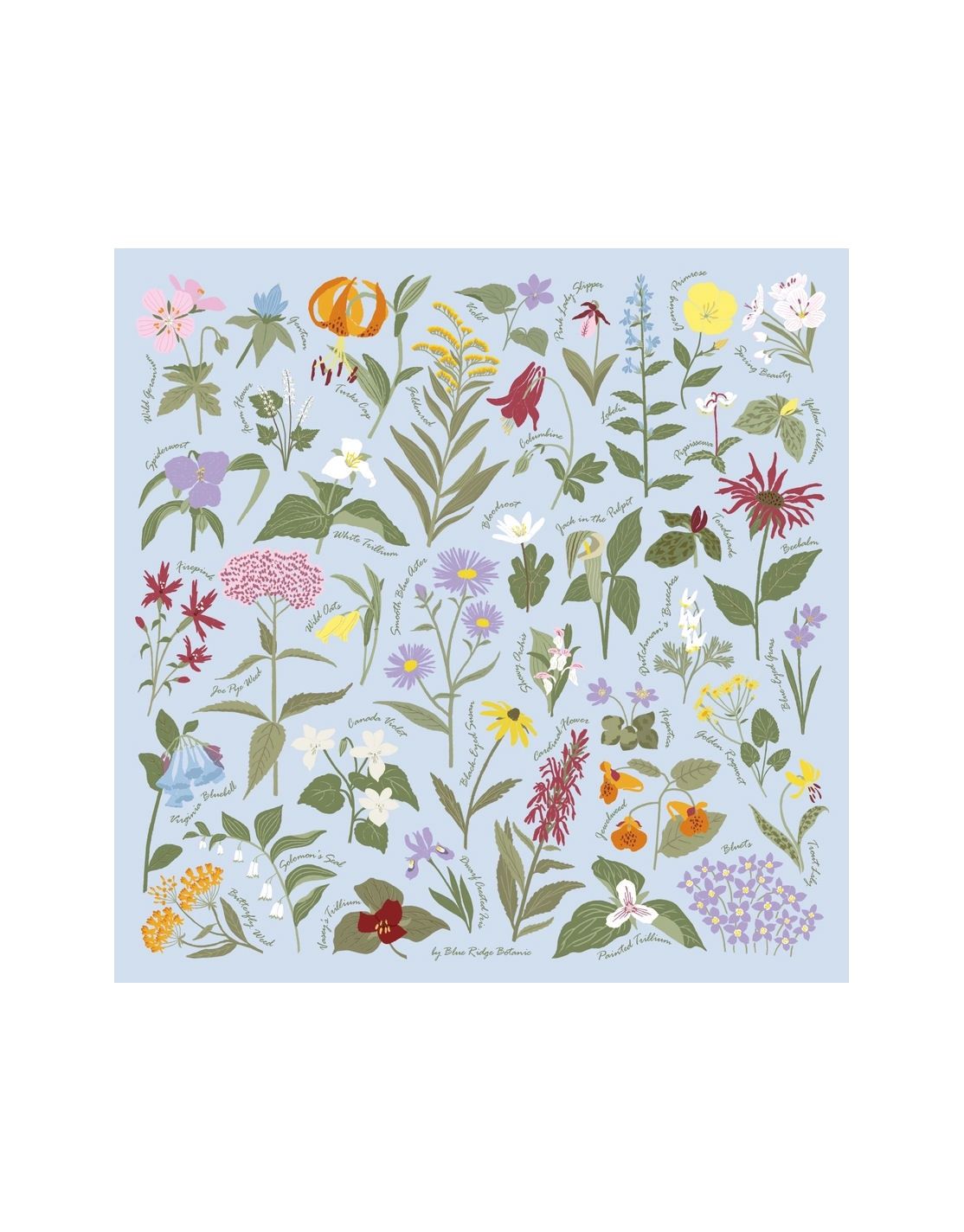 Blue Ridge Botanic Light Blue Bandana