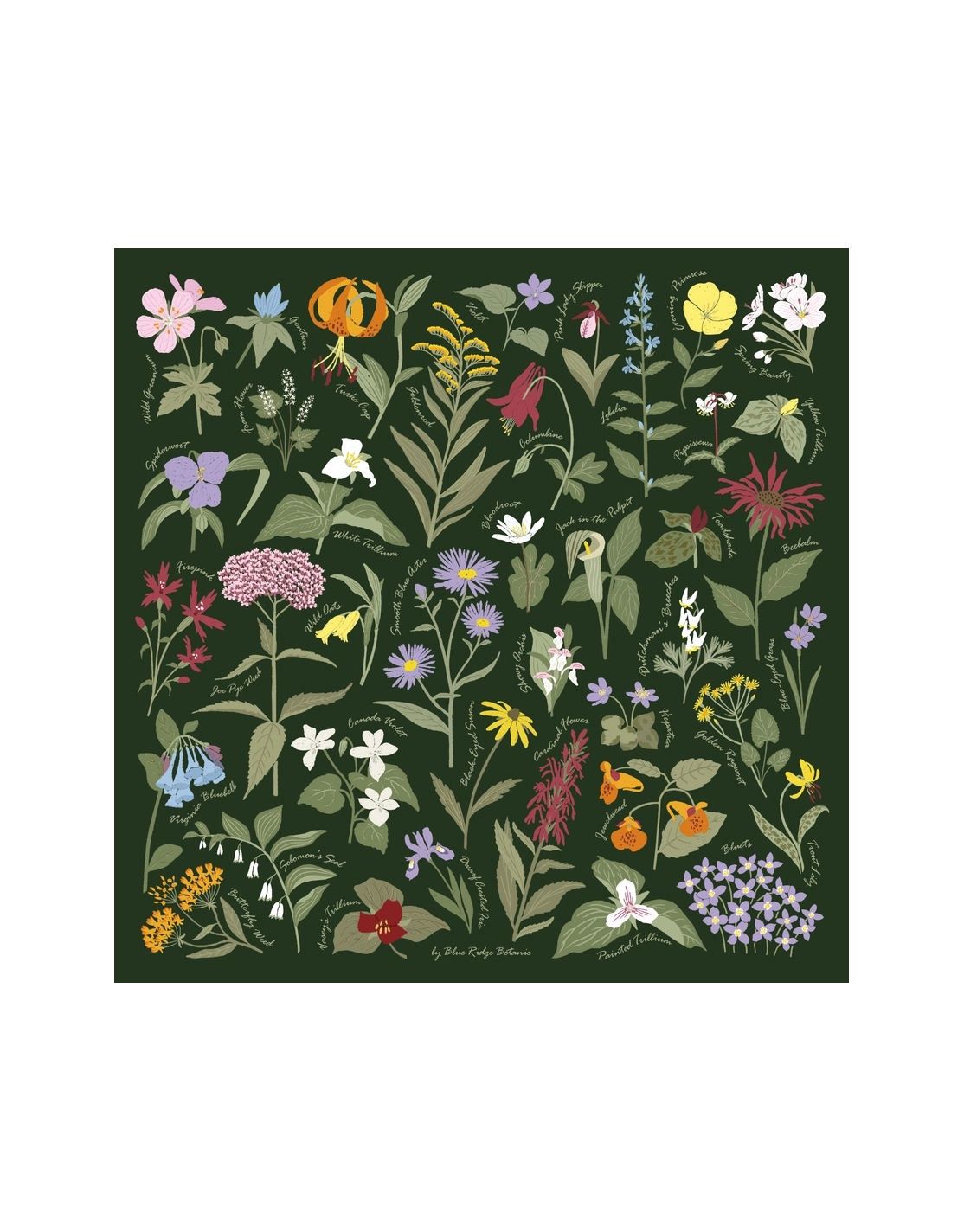Blue Ridge Botanic Green Bandana
