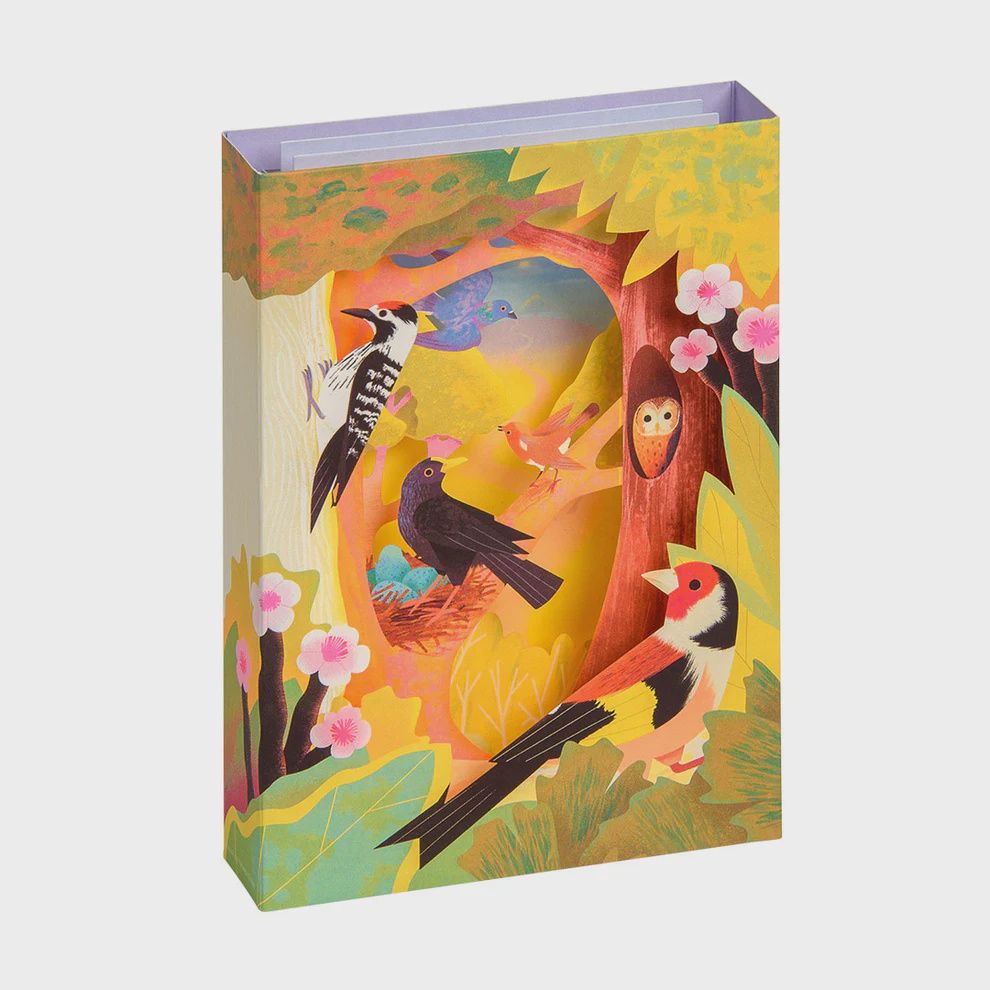 British Birds Pop Up Card