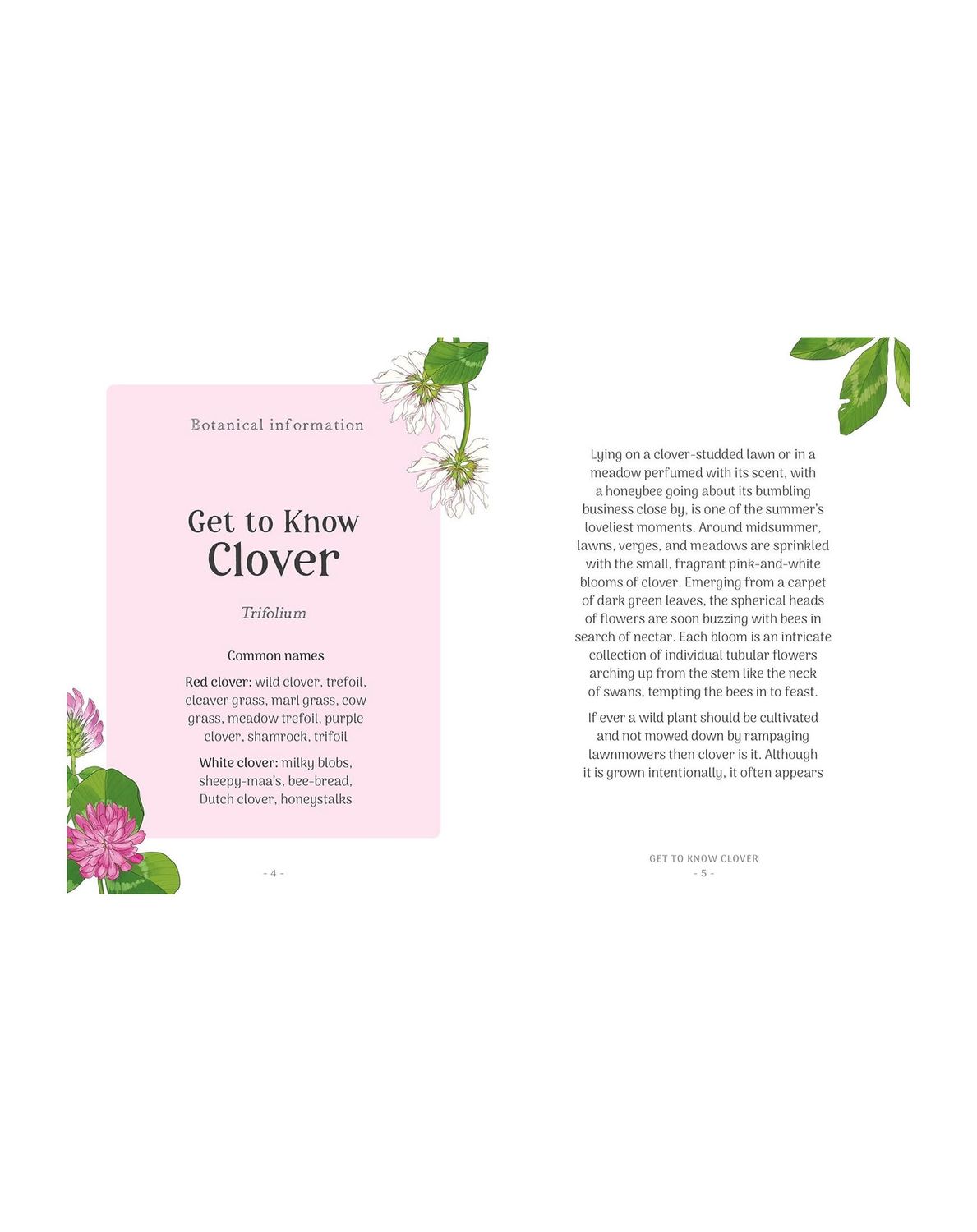The Little Wild Library Clover Hardcover Book