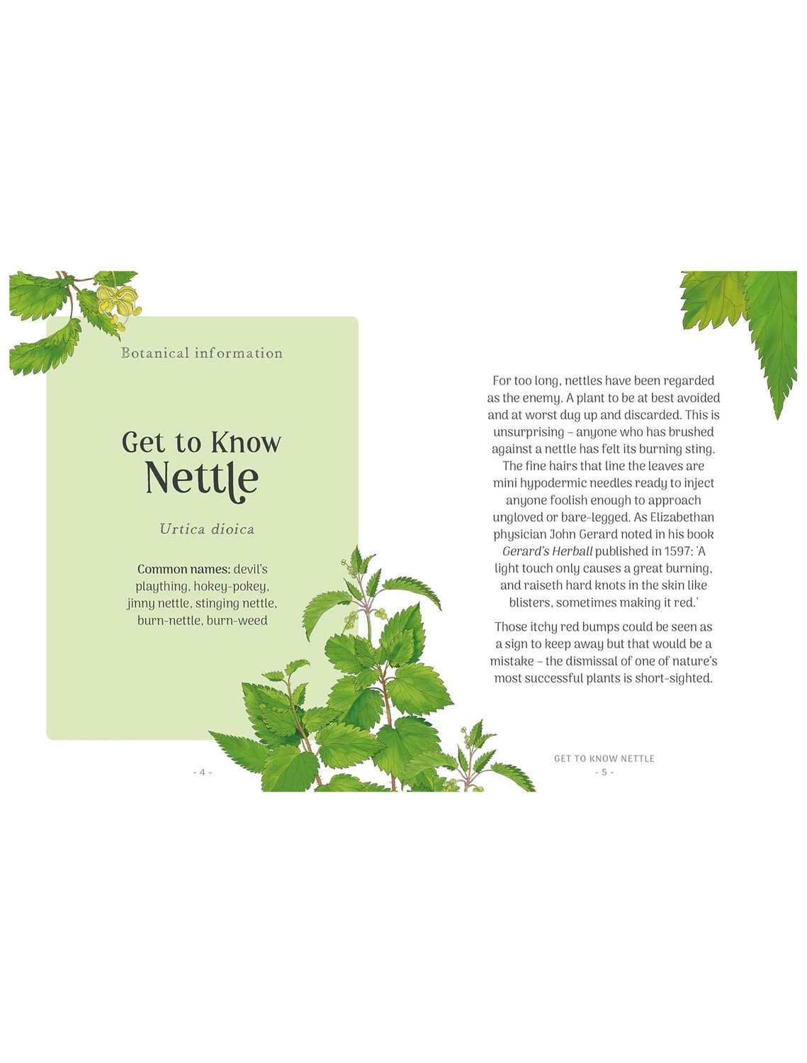 The Little Wild Library: Nettle Hardcover Book