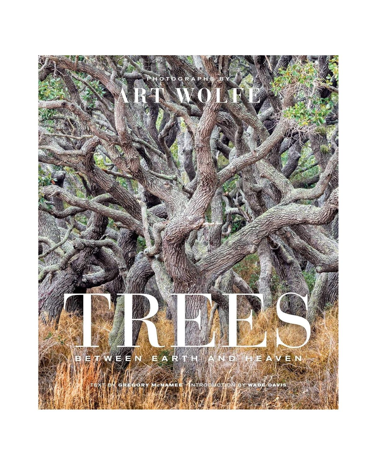 Trees: Between Earth And Heaven Hardcover Book