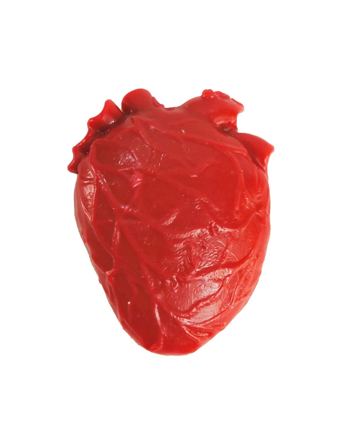Teeny Tiny Vital Organ Squishy Toy