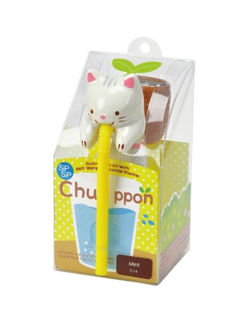 Cat Chuppon Mint Cultivation Kit Self-Watering Planter