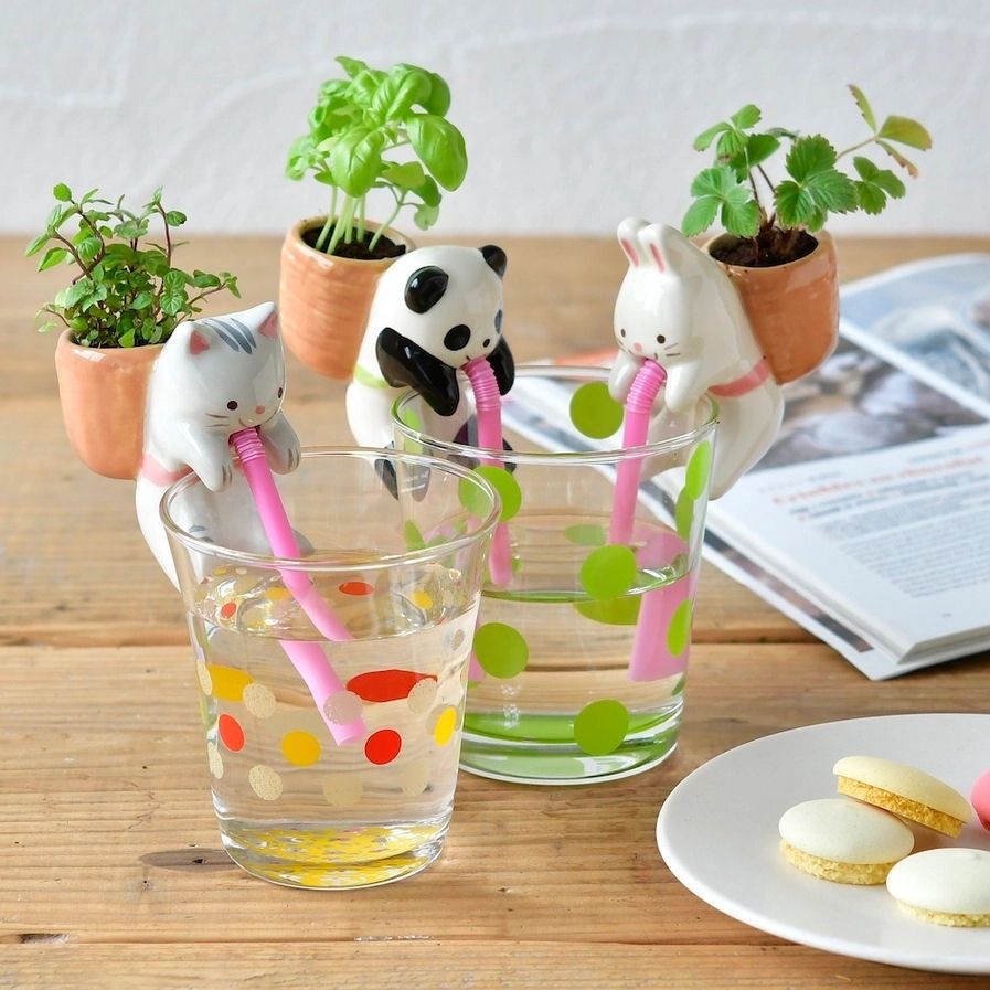 Panda Chuppon Basil Cultivation Kit Self-Watering Planter