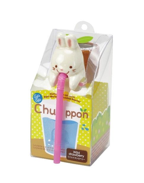 Rabbit Chuppon Wild Strawberry Cultivation Kit Self-Watering Planter