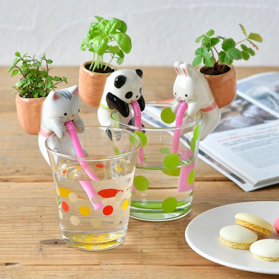 Rabbit Chuppon Wild Strawberry Cultivation Kit Self-Watering Planter