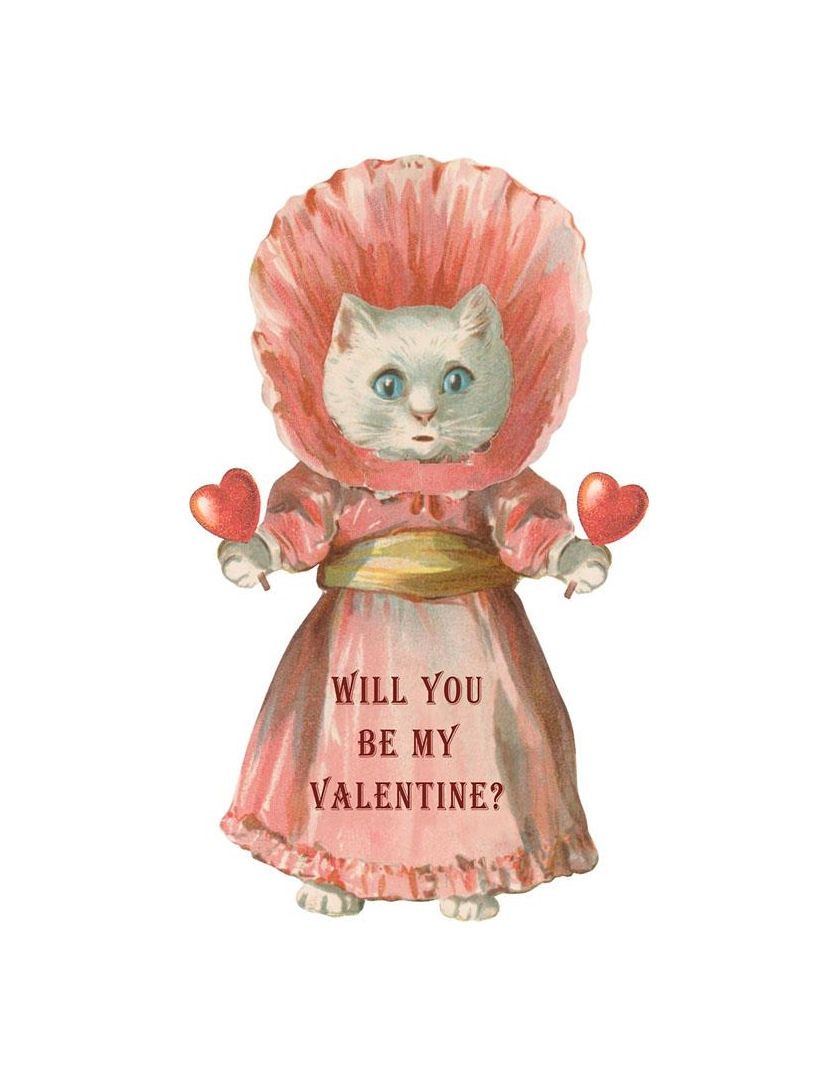 Will You Be My Valentine Vintage Cat Postcard