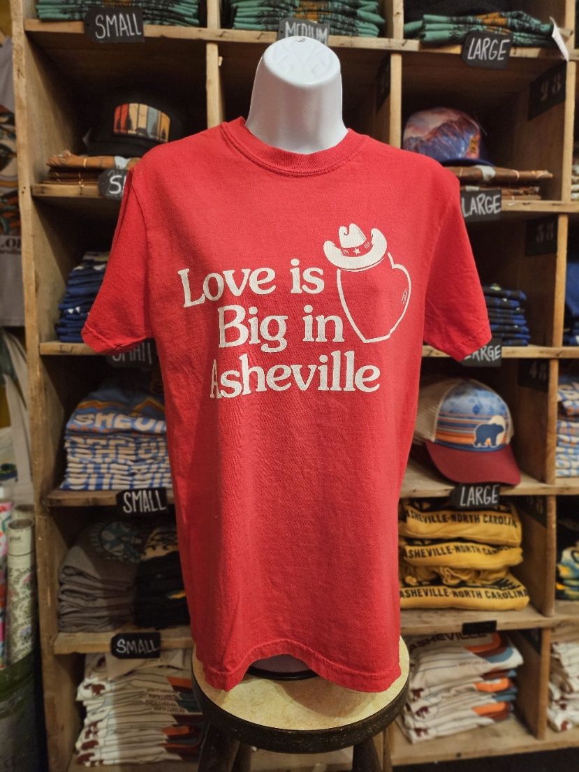 Love Is Big In Asheville T-Shirt, Size: Small
