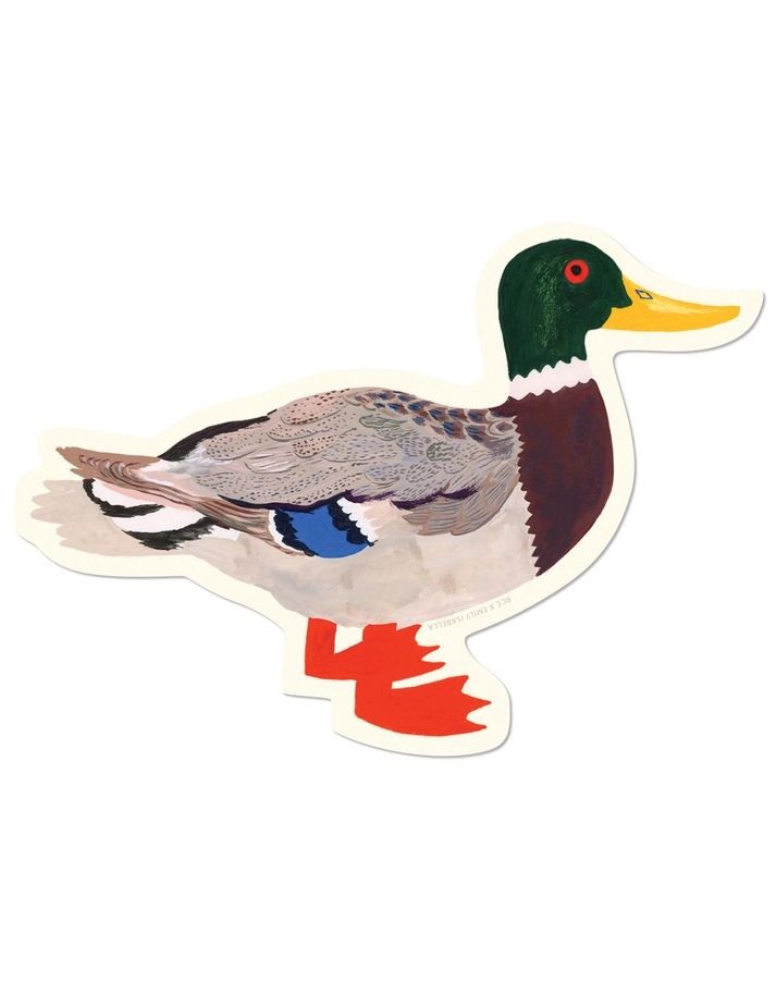 Mallard Sticker