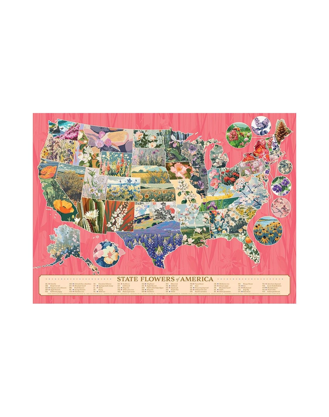 State Flowers Of America 1000 Piece Puzzle