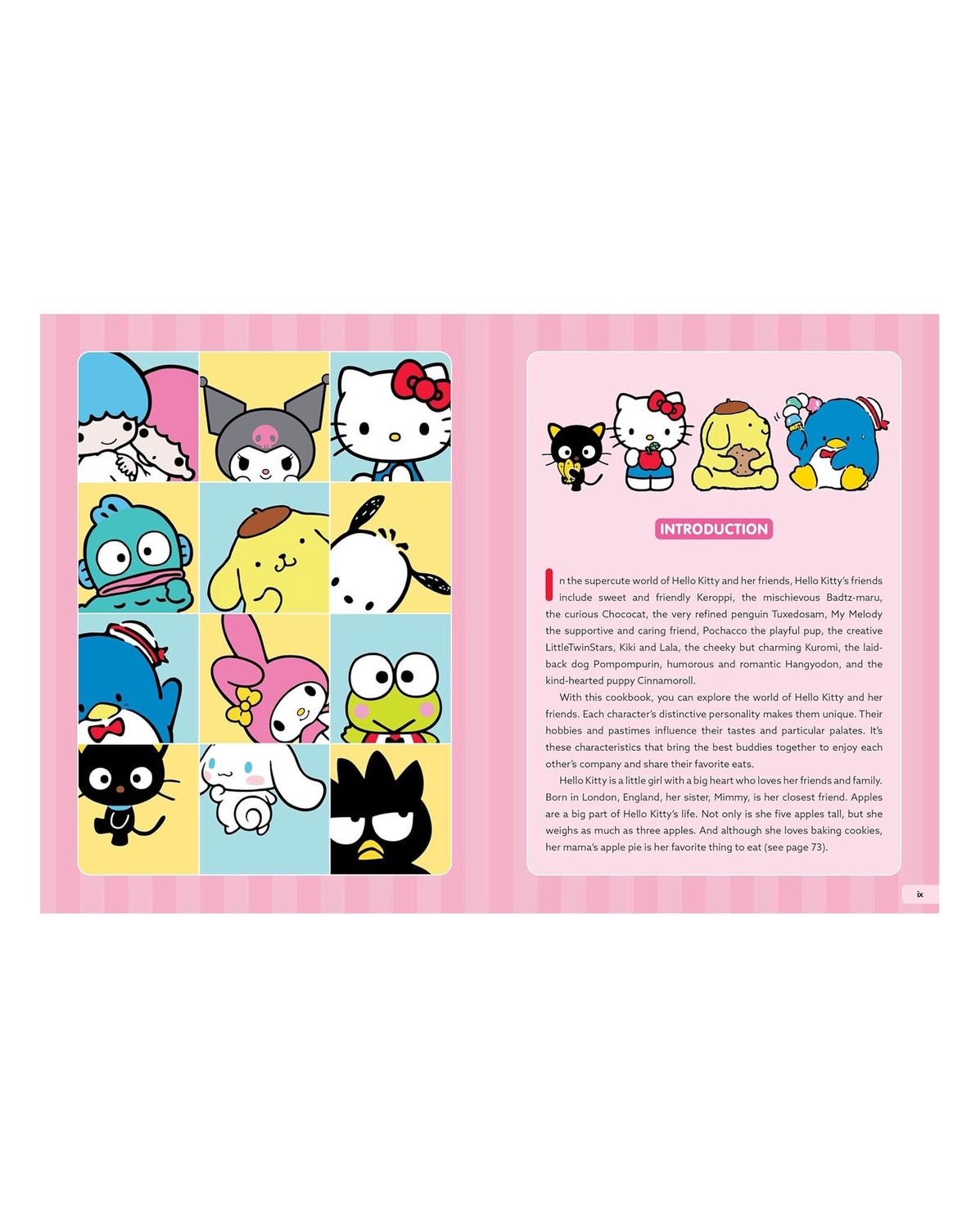 Hello Kitty And Friends The Cookbook Hardcover Book