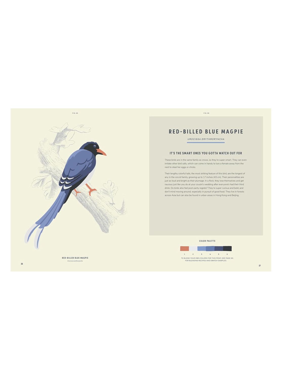Coloready Birds Paint By Number Paperback Book