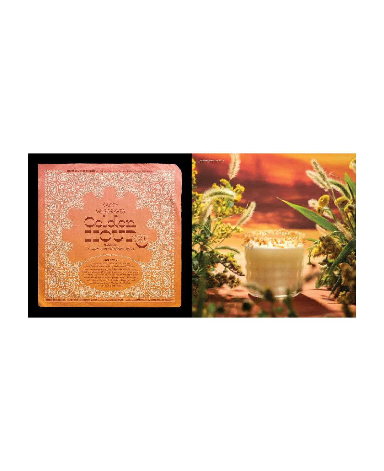 Booze And Vinyl Country Hardcover Book