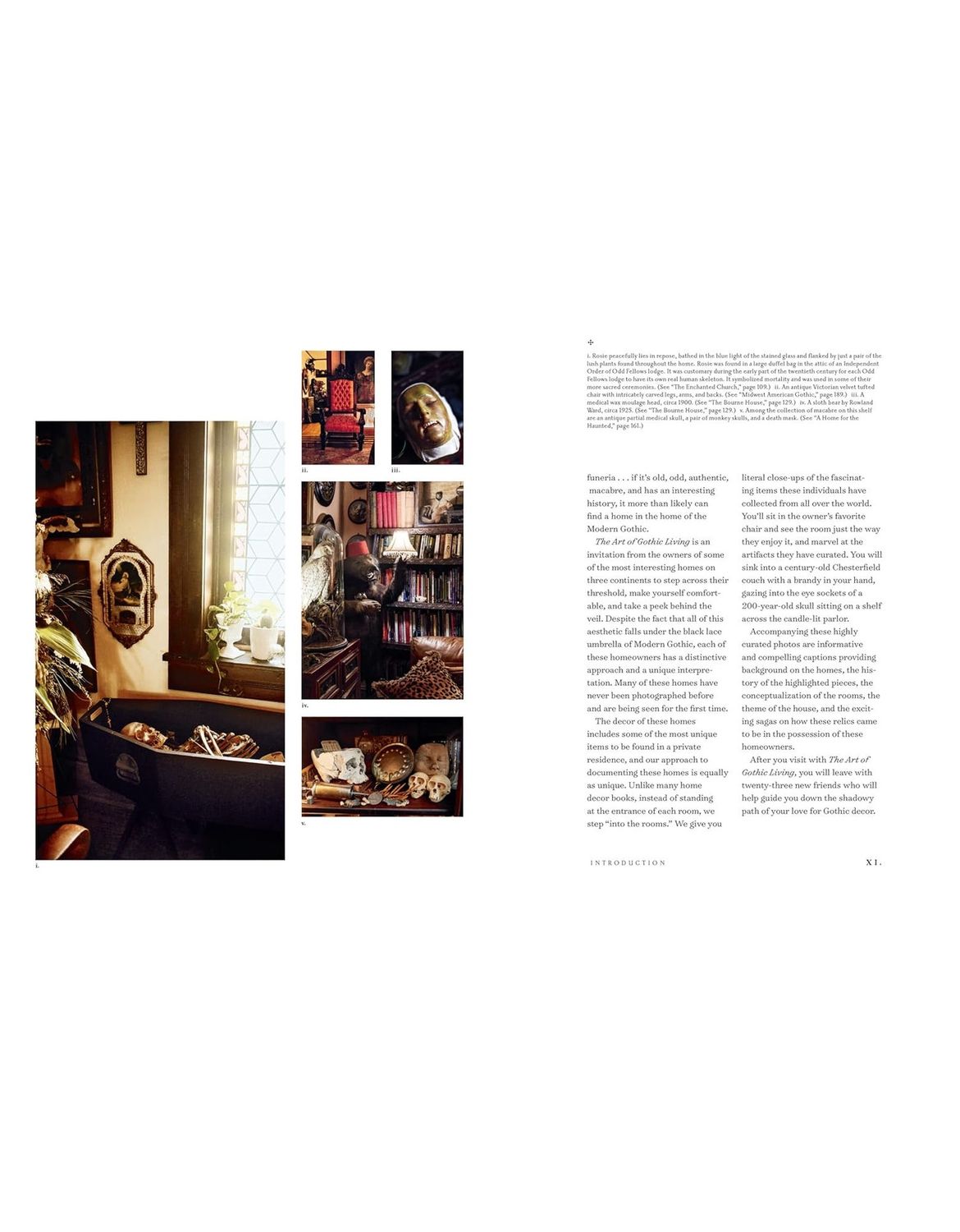 The Art Of Gothic Living Hardcover Book