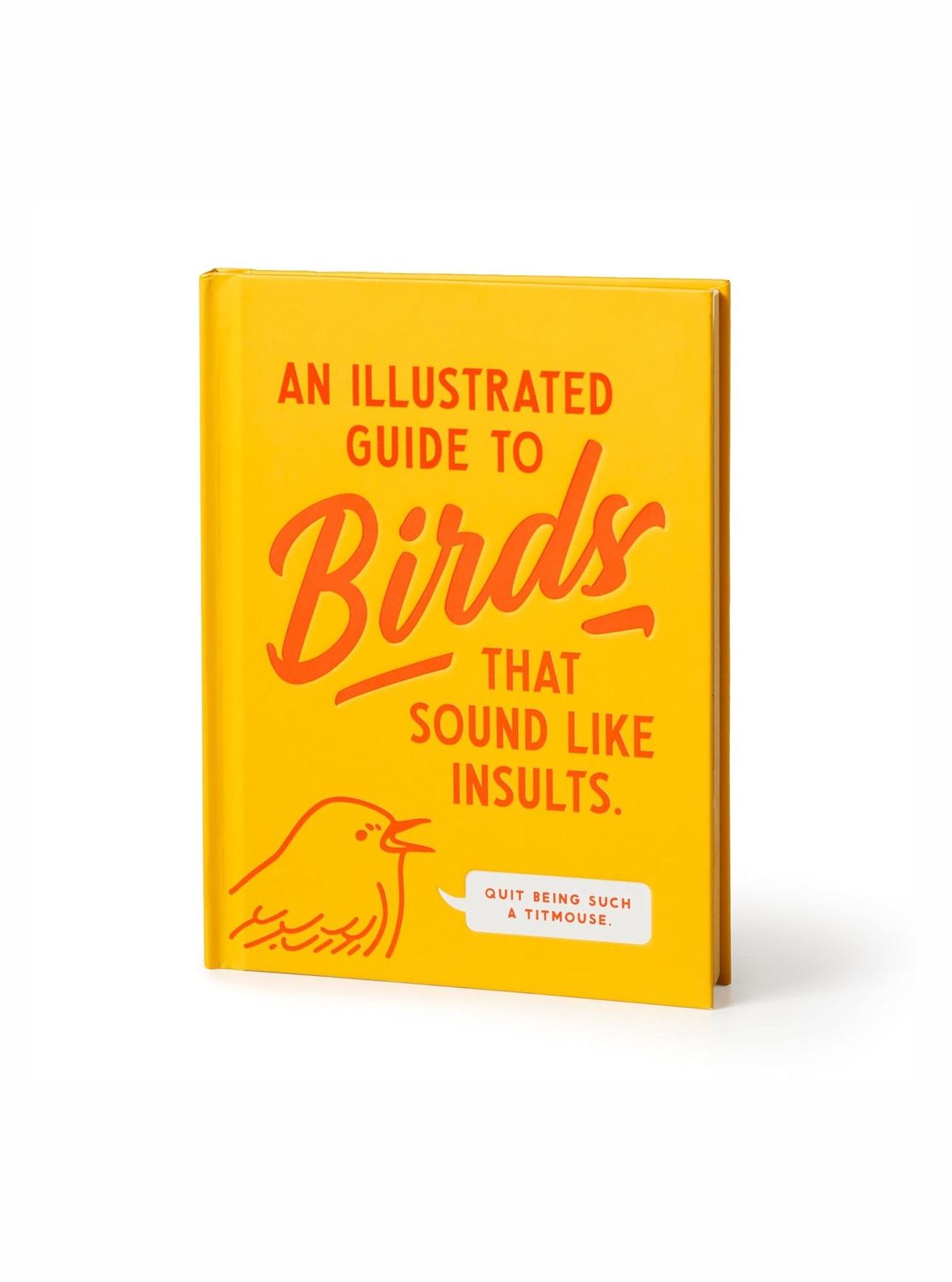 An Illustrated Guide To Birds That Sound Like Insults Hardcover Book