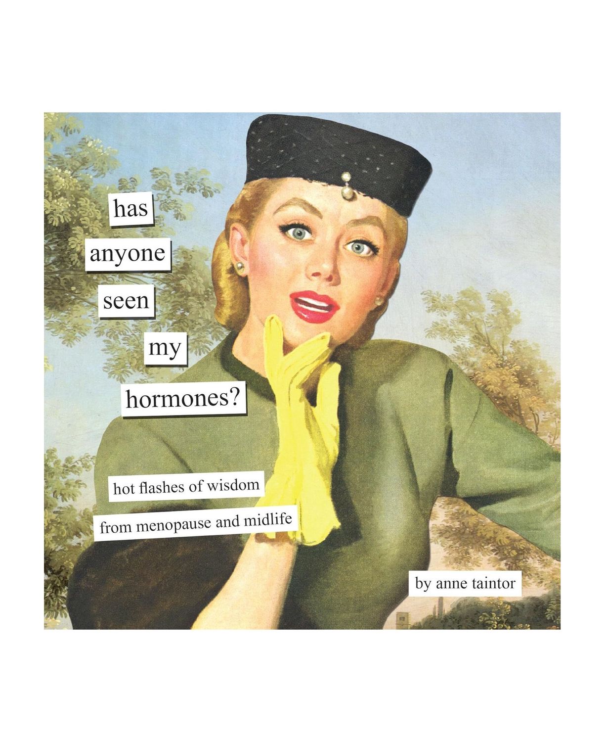 Has Anyone Seen My Hormones Hardcover Book