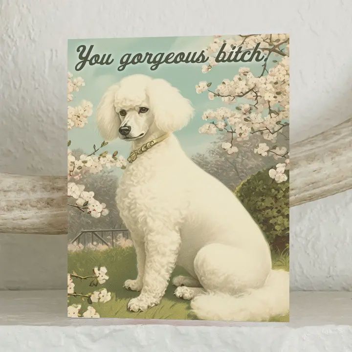 You Gorgeous Bitch  Dog Card