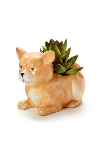 Mini Chihuahua Dog Planter