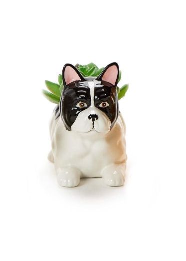 Mini French Bulldog Dog Planter