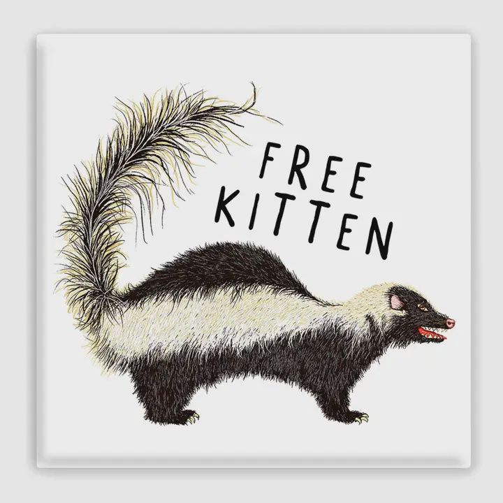 Free Kitten Skunk Magnet