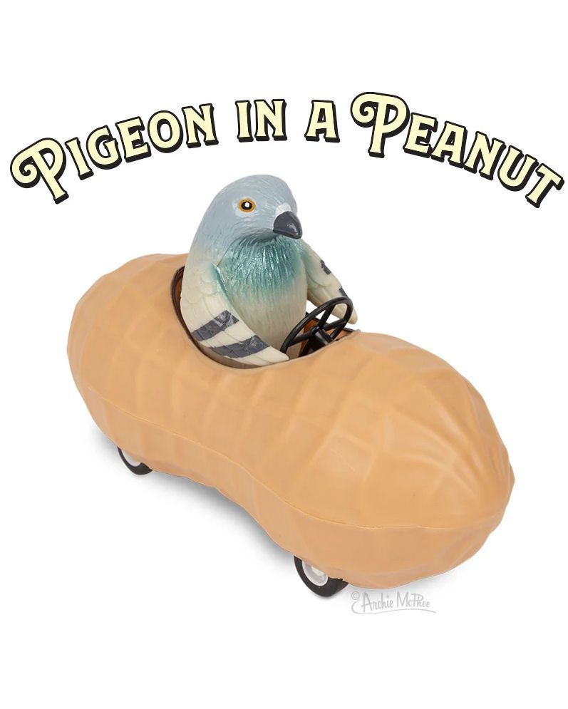 Pigeon In A Peanut