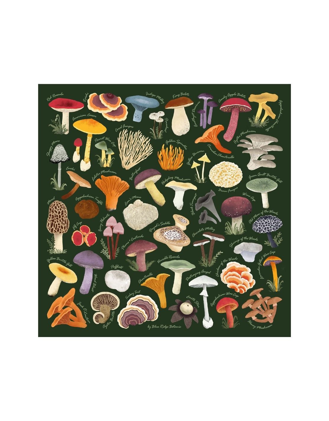 Appalachian Mushrooms Spruce Green Bandana