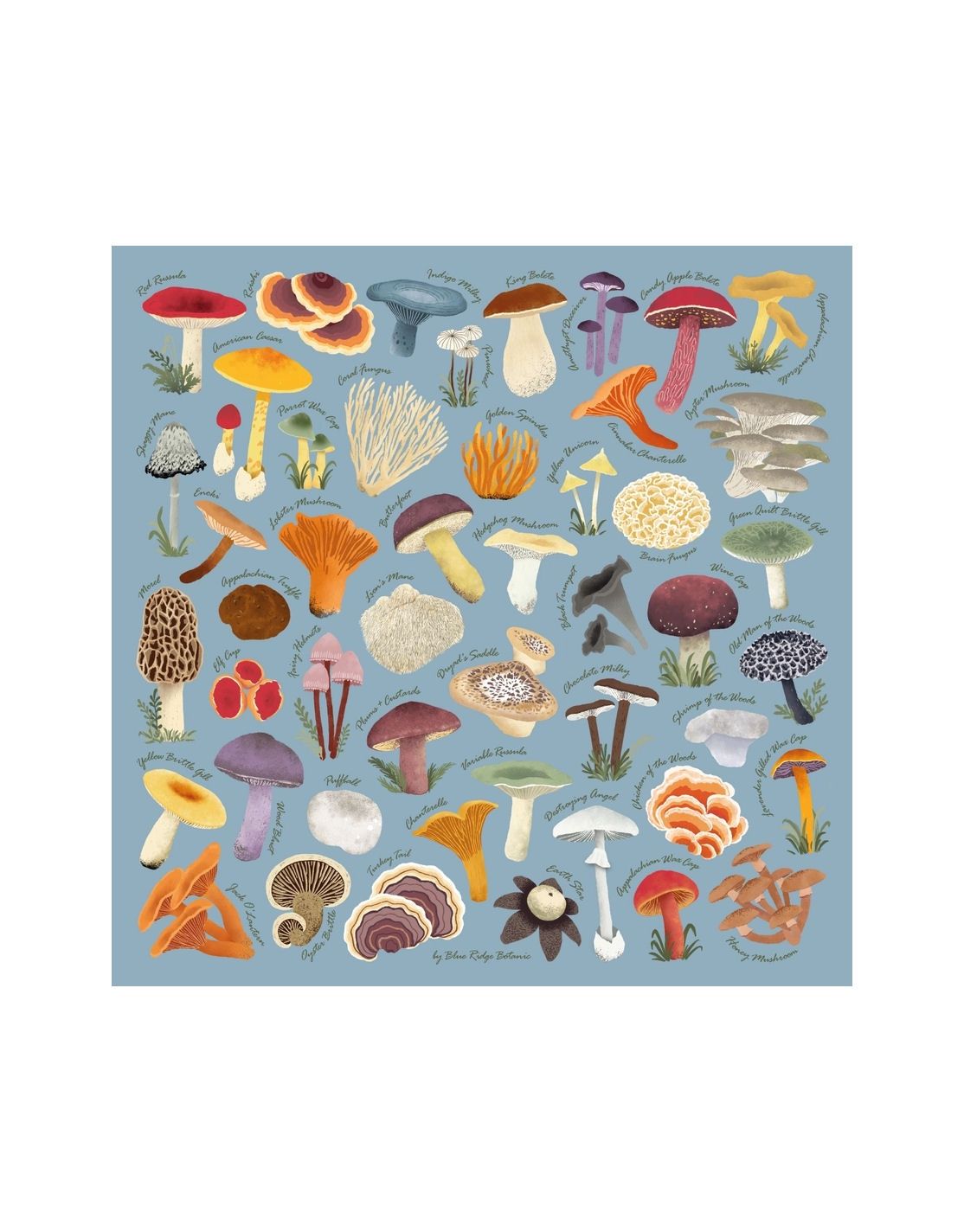 Appalachian Mushrooms Chambray Blue Bandana