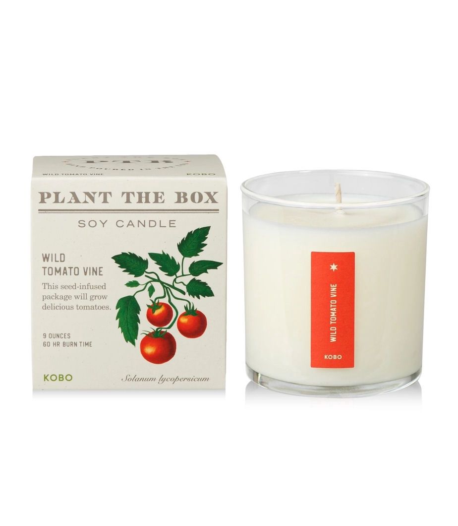 Wild Tomato Vine Plant The Box Candle