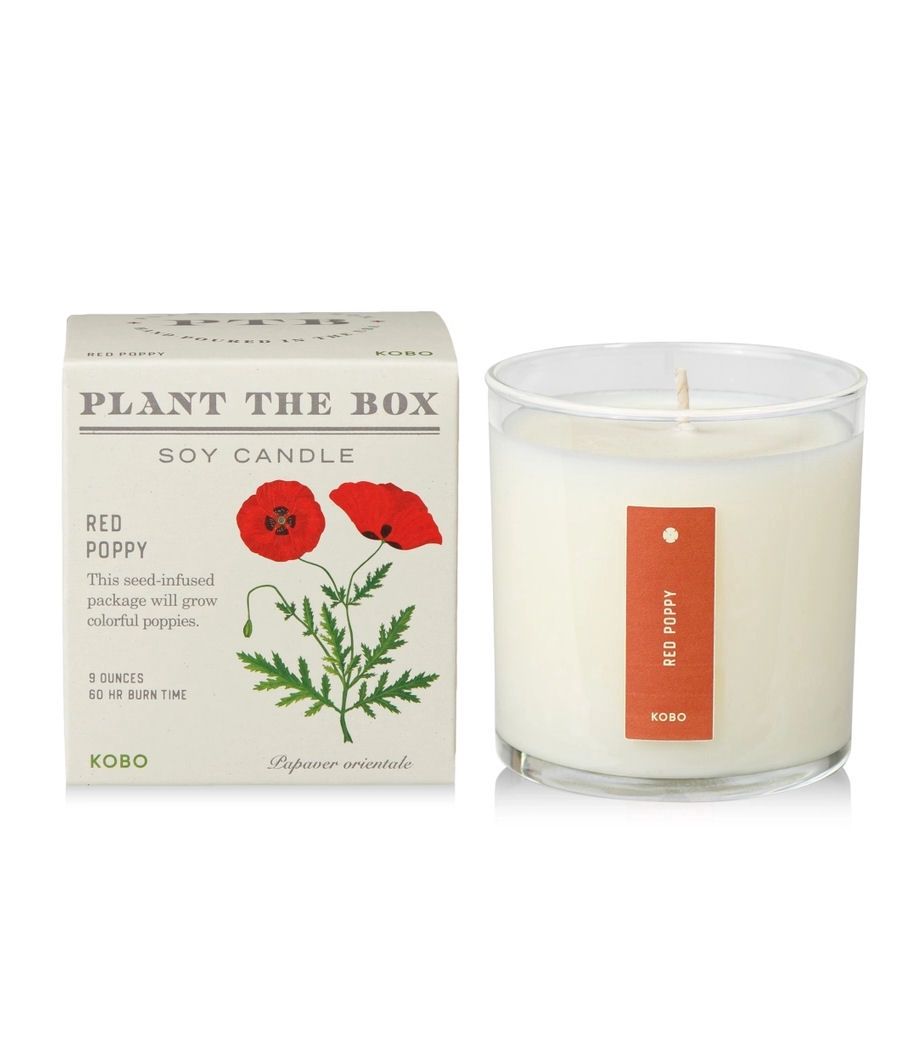 Red Poppy Plant The Box Candle