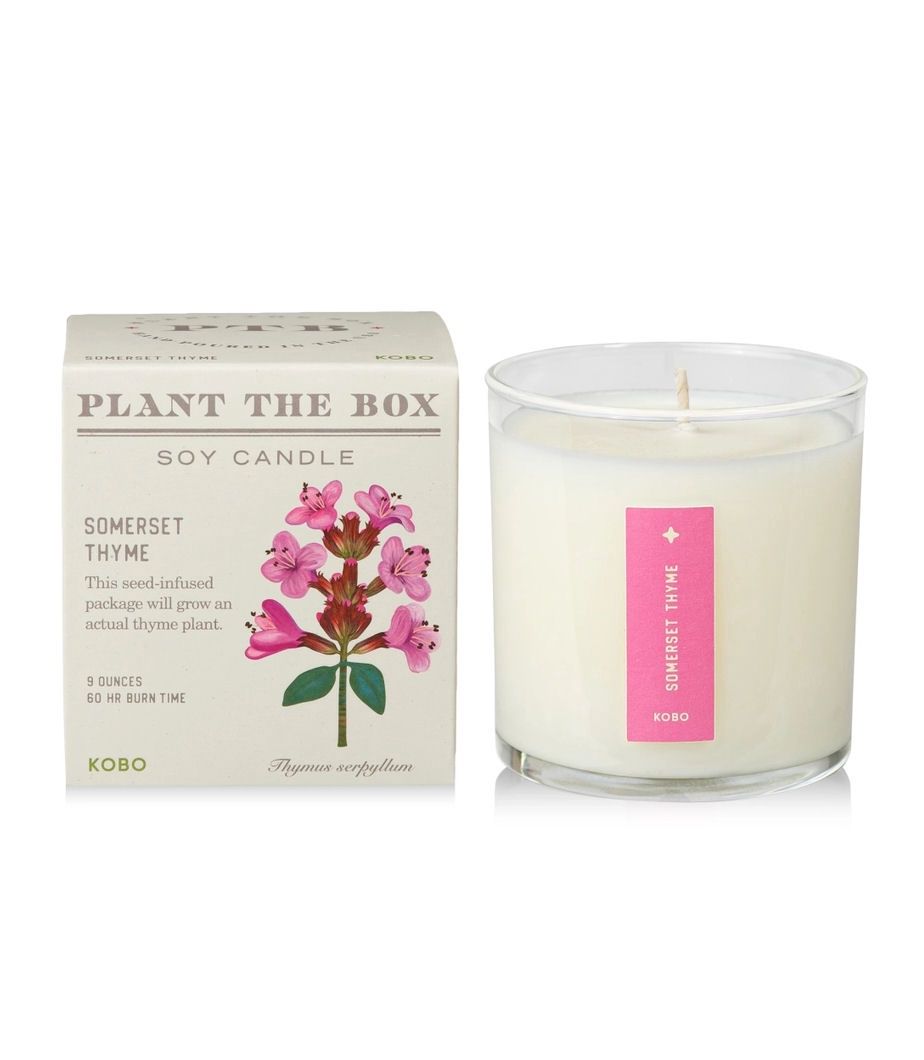 Somerset Thyme Plant The Box Candle