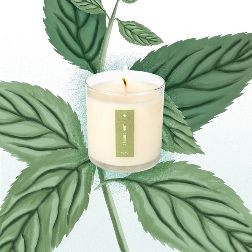 Crushed Mint Plant The Box Candle